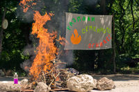 Zelena-sybota-Debrene-2011-11